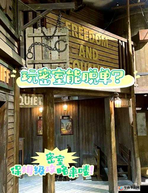 密室逃脱24，挑战与智慧的碰撞