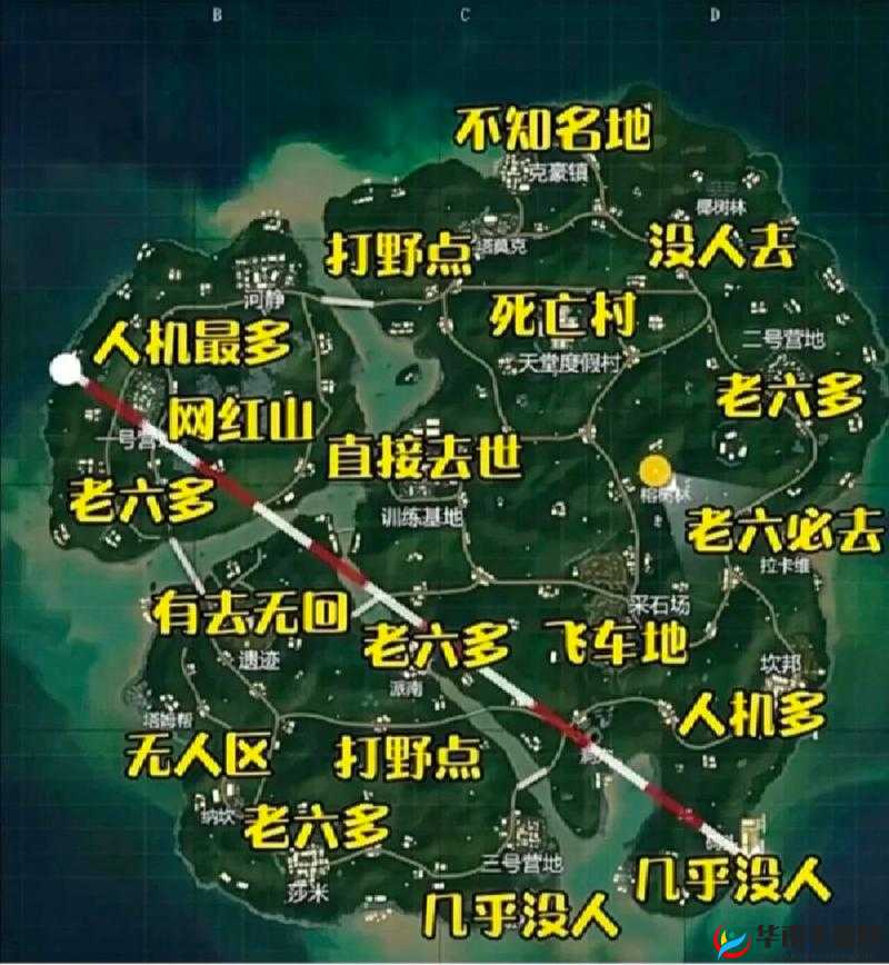 和平精英雨林地图打野全攻略，避开热门，巧取资源