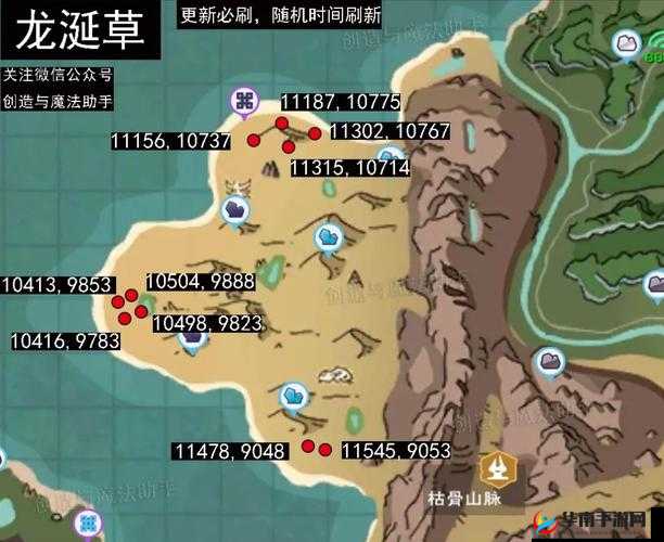 创造与魔法龙涎草位置分布深度解析