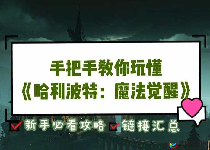 哈利波特，魔法觉醒日常技巧深度解析