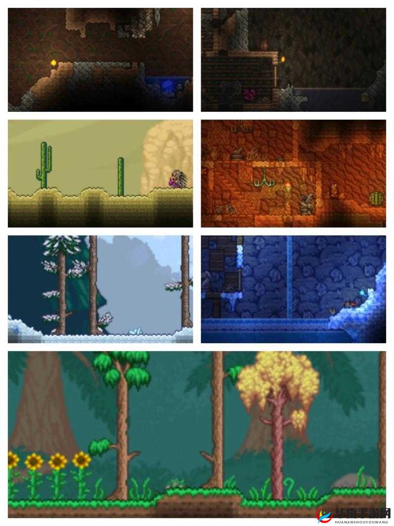 泰拉瑞亚环境治理的演变史