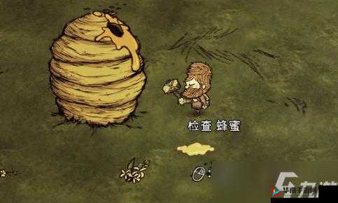 饥荒联机版巨大蜂窝是什么？探索生存新挑战
