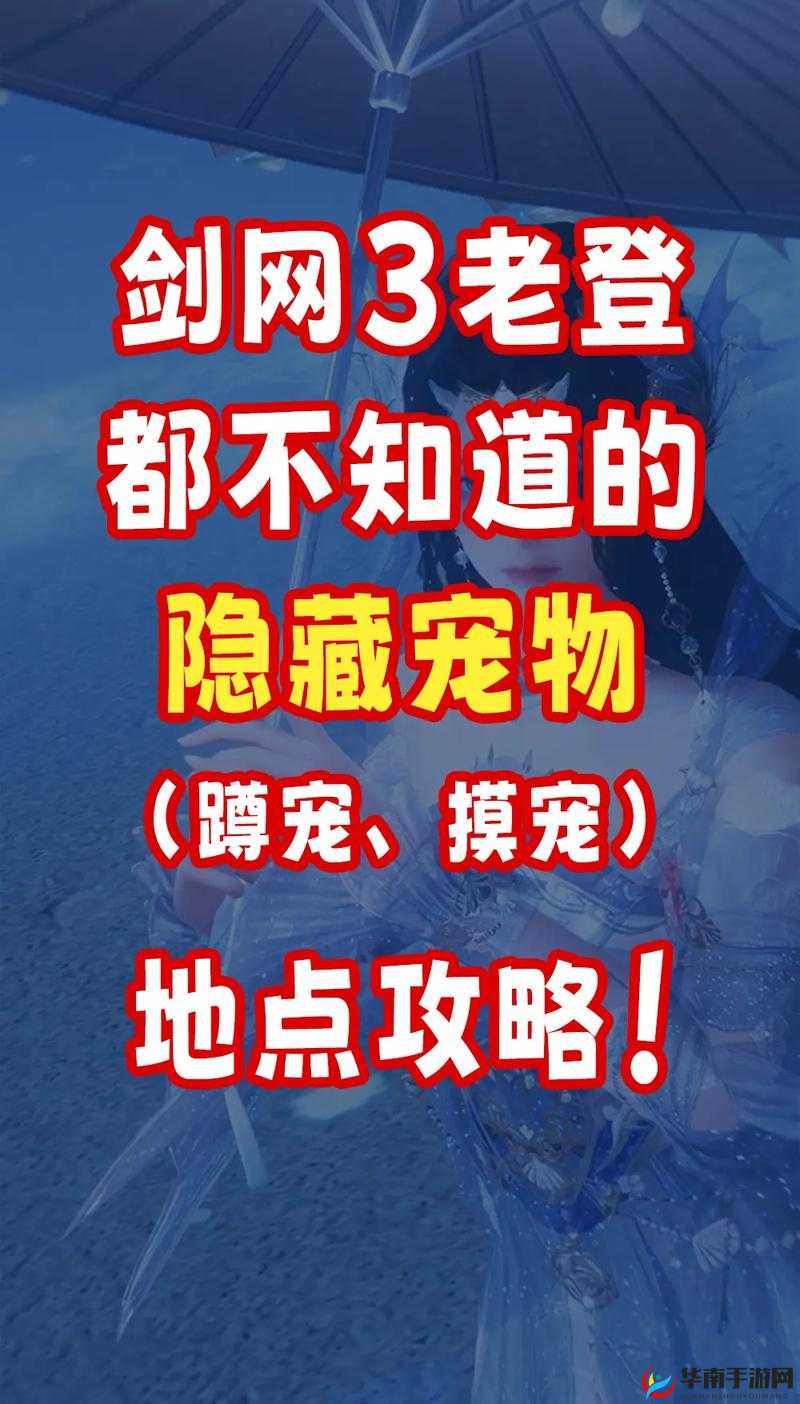 剑三奇遇宠物摸一圈怎么玩，底层逻辑与实战操作全攻略