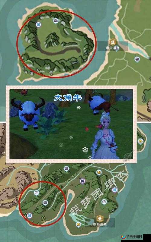 创造与魔法哪里获得稀有肉