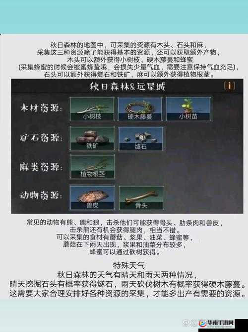 明日之后黑泥沼副本深度解析，策略、误区与实战数据