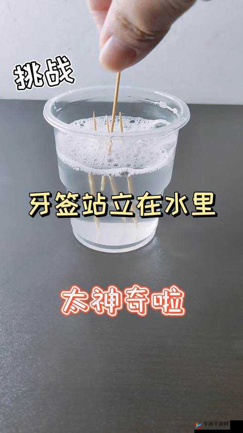 六年级物体中到底能塞多少根牙签？探寻牙签数量之谜引发广泛关注
