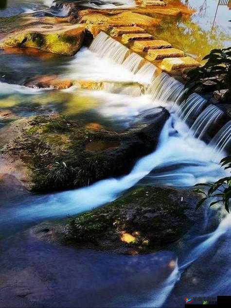 两峰夹小溪地湿又无泥：探索神秘自然景观的诗意与生态之美