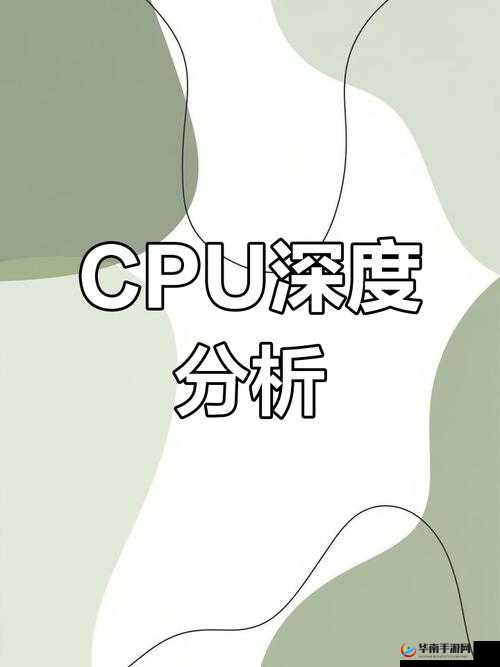 又深又粗？精69XX的独特魅力解析：如何提升使用体验与性能优化