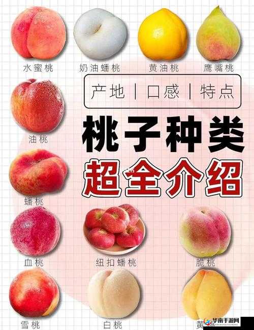 欧产日产国产水蜜桃大比拼：哪种口感更胜一筹？全面解析产地差异与品质对比