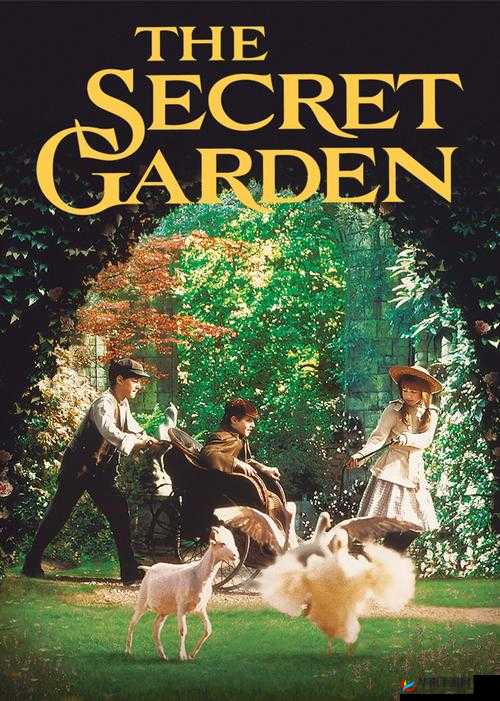 秘密花园高清在线观看完整版，如何让你的粉丝量瞬间暴涨？快来一探究竟