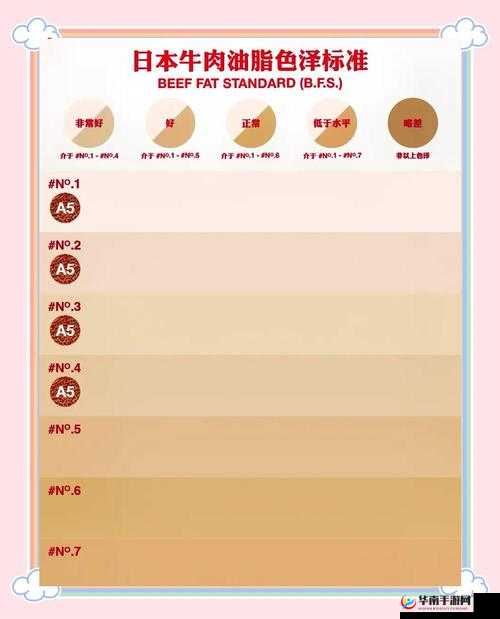 日本精品一线二线三线区别大揭秘：如何快速辨别并选购最适合你的日本精品？