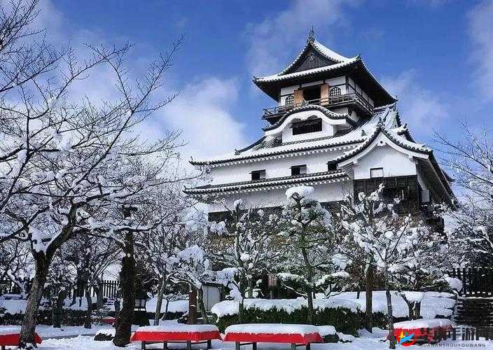 JAGNEXSMAX 在日本到底有多受欢迎？它的独特之处何在？快来一探究竟