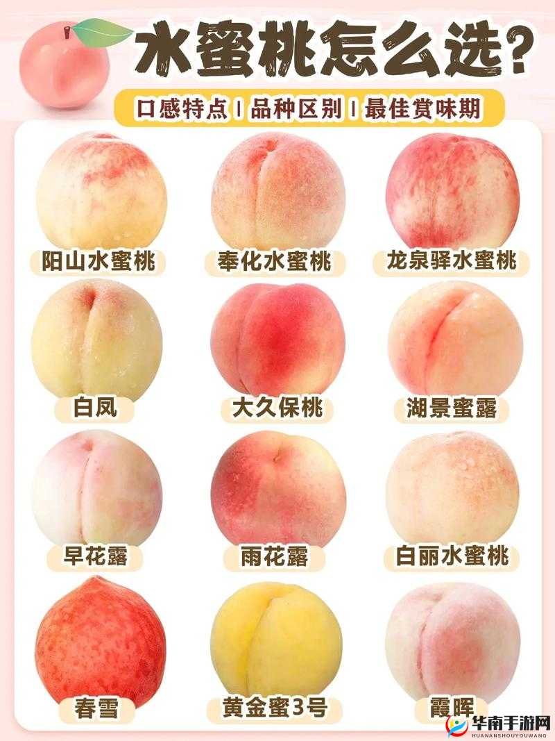 什么是精美日产NV二线三线水蜜桃？它有哪些独特之处和魅力呢？