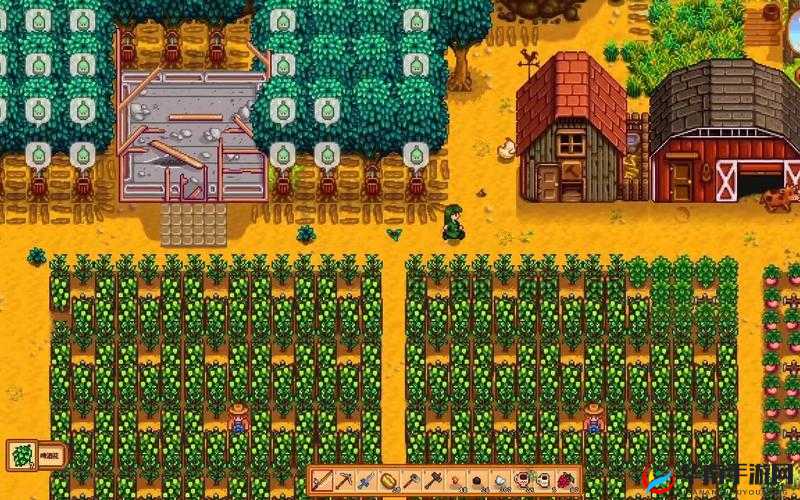 星露谷物语啤酒花种植推荐