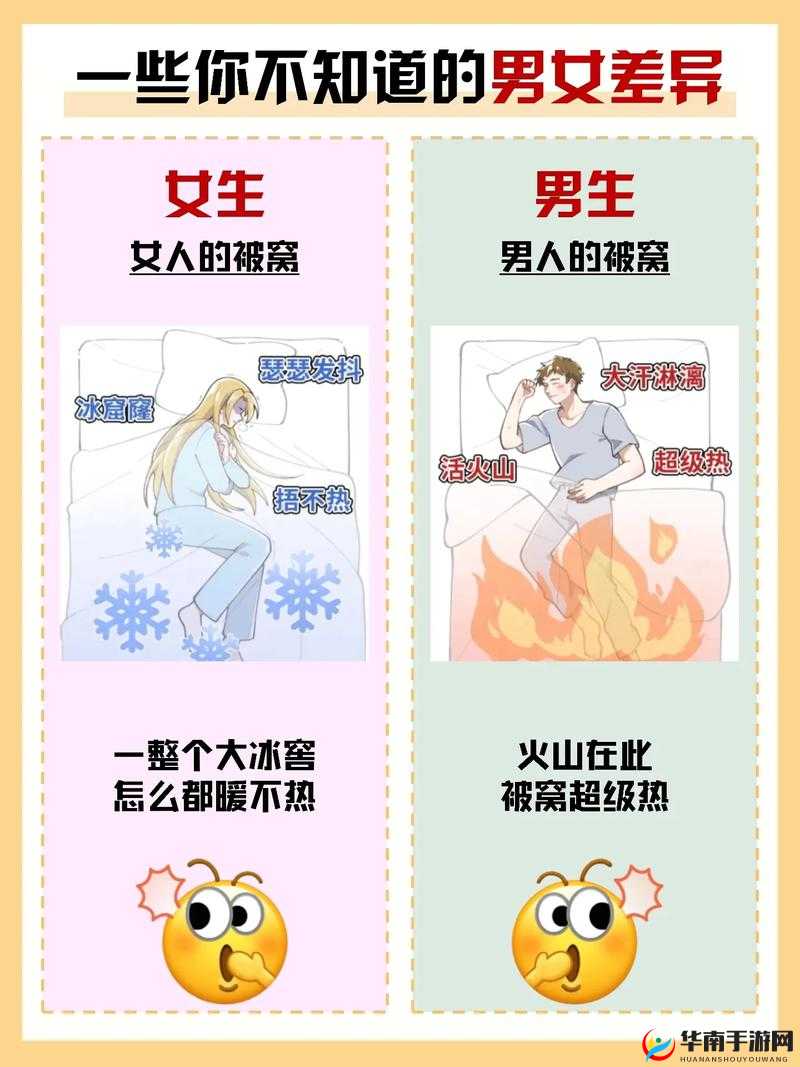 男女差差：从生活习惯到职场表现，全面解析两性差异的深层原因与影响