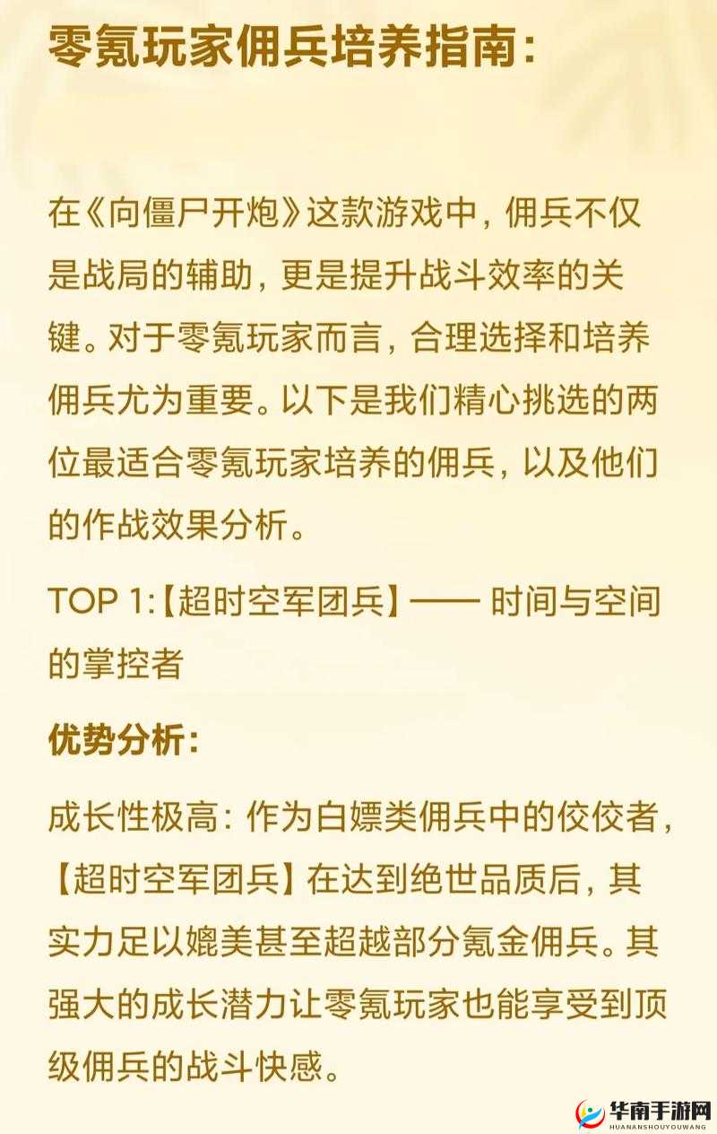 抢滩登陆3D佣兵系统怎么玩，深度解析与策略指南