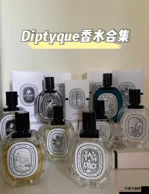 diptyque 含羞草香薰怎么样？它的香味、功效和使用体验大揭秘