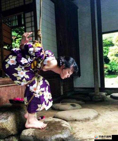 提问：日韩捆绑另类xxxxxx究竟是什么？为何引发广泛关注？