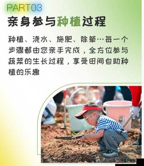 嫩草研究一二三四五六：探索年轻一代的生活方式与价值观