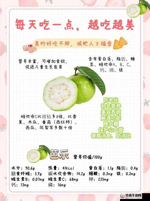 芭乐丝瓜黄瓜绿榴莲最新版究竟有何独特之处？快来一探究竟