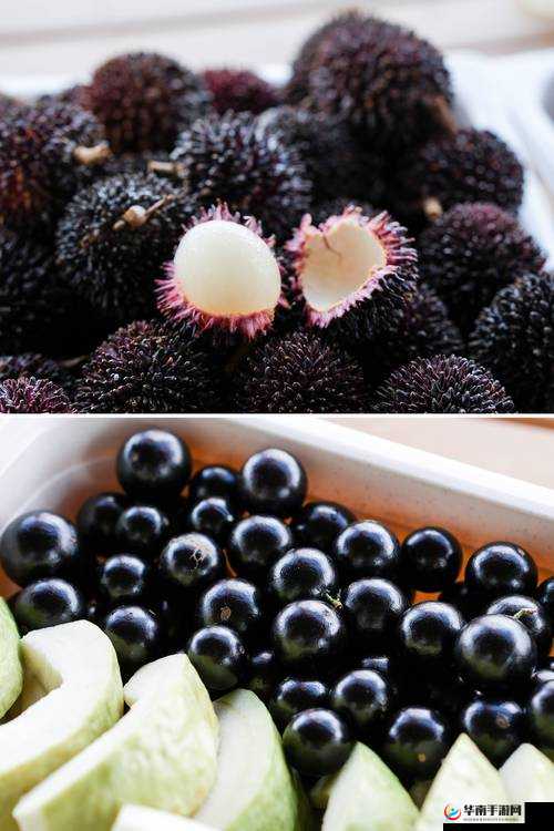 秋葵草莓樱桃榴莲大全：探索这四种水果的独特魅力与健康益处