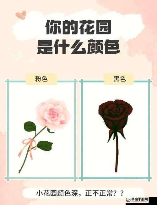 如何亲小花园？这些技巧你需要知道