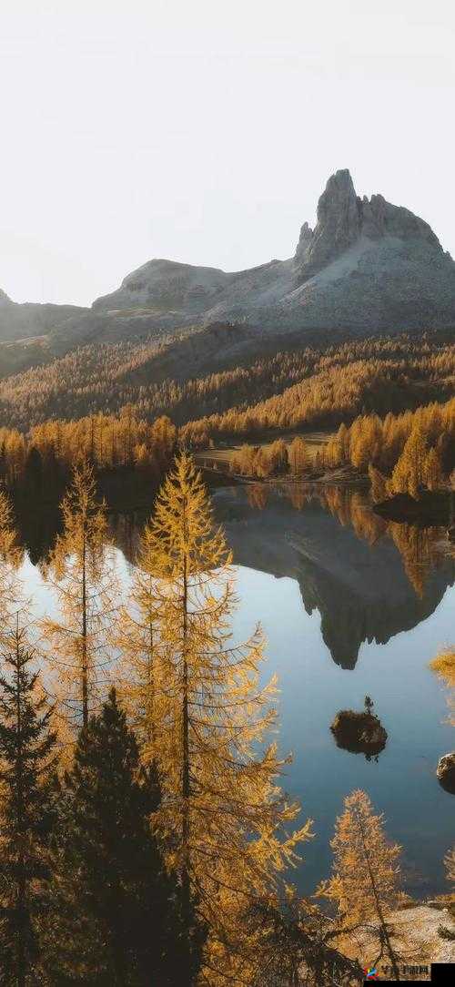 你懂得 1024 手机看片，欧美日韩应有尽有，满足你的所有需求