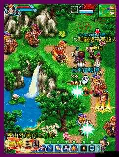 新明珠三国作为一款深受玩家喜爱的游戏，其丰富的职业设定和独特的玩法吸引了大量玩家投身其中。其中，武将职业以其强大的破坏力、坚不可摧的防御力以及多样的战斗技巧，成为了游戏中备受瞩目的角色。