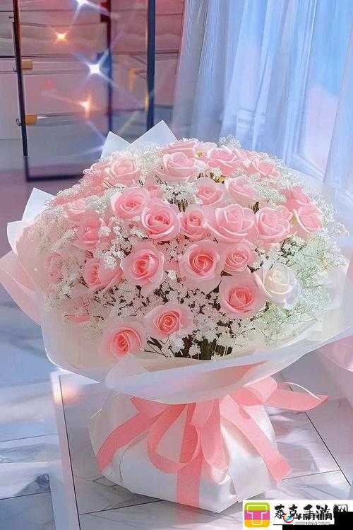 满天星 A 级意大利究竟有何独特之处？了解其背后的精彩与奥秘