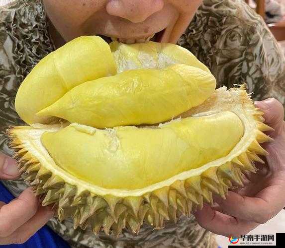 榴莲视频在线观看版软件，你不可错过的观影神器它拥有丰富的视频资源，涵盖各种类型和题材，让你一次看个够高清画质，流畅播放，让你尽享视觉盛宴更有个性化推荐功能，根据你的喜好推荐最适合你的视频而且，软件操作简单，界面友好，让你轻松上手快来下载榴莲视频在线观看版软件，开启你的精彩观影之旅吧