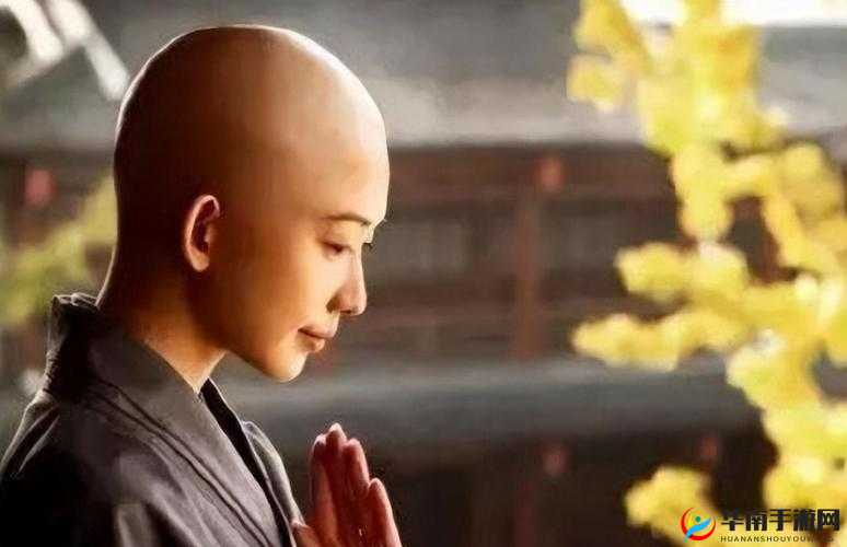 尼姑比喻什么人生？探索修行者背后的智慧与启示