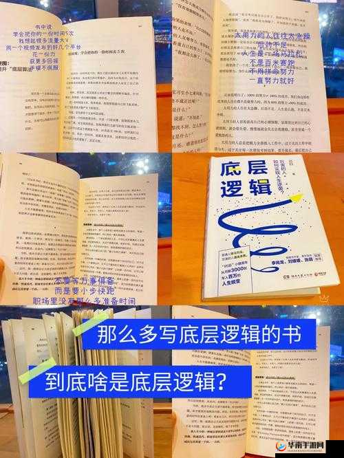 冰原守卫者冰封森林怎么打，底层逻辑+操作映射全攻略