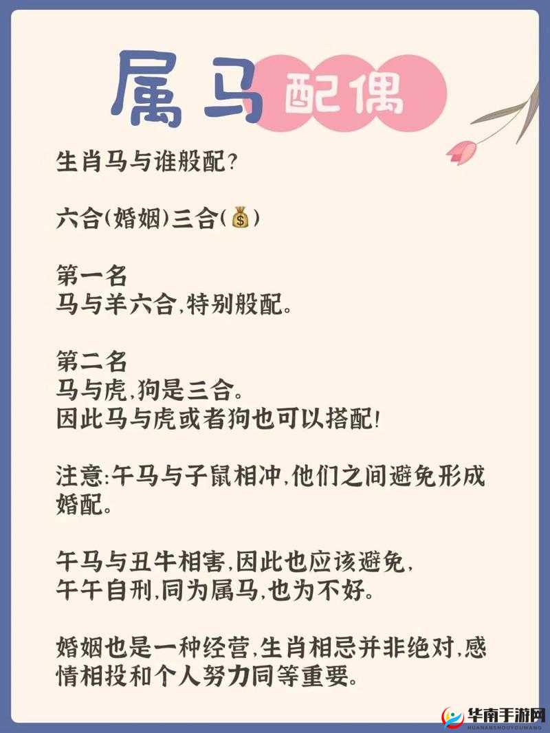 为什么人马畜禽的配对策略如此重要？