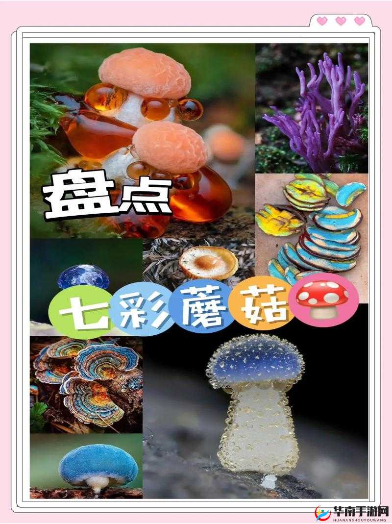 黑暗与光明混合蘑菇的获取与利用