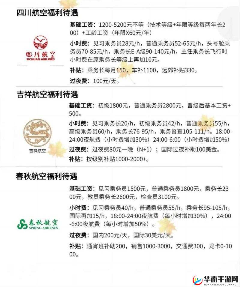 揭秘做空姐一年收入：真实薪资水平与职业发展前景全解析