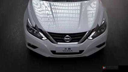 日产精品无码一级毛片真的有那么好看吗？