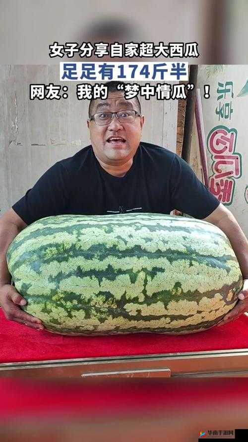 哇塞今日吃瓜热门大瓜在线观看，你准备好了吗？