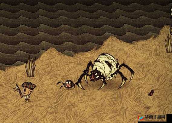 饥荒中蜘蛛人驯服蜘蛛全攻略