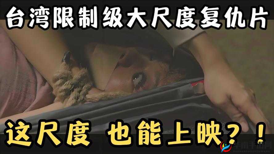 1000部禁部视频免费大看：揭秘被禁影片背后的故事与真相，全面解析禁播原因及影响
