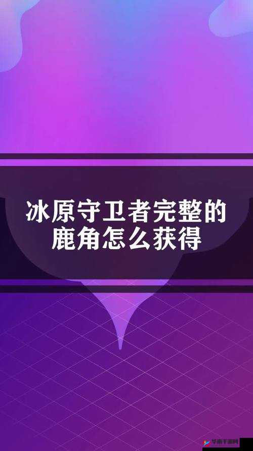 冰原守卫者鹿角，解锁幸运与时尚的双重密码