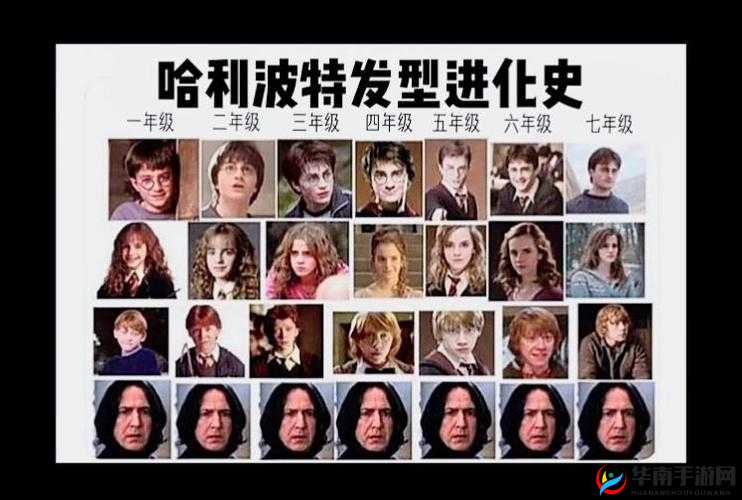 哈利波特前期最强阵容演变史