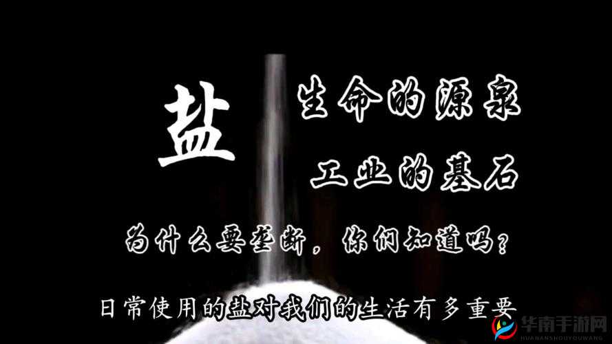 盐母免费观是否真的存在？它对我们的生活有什么影响？