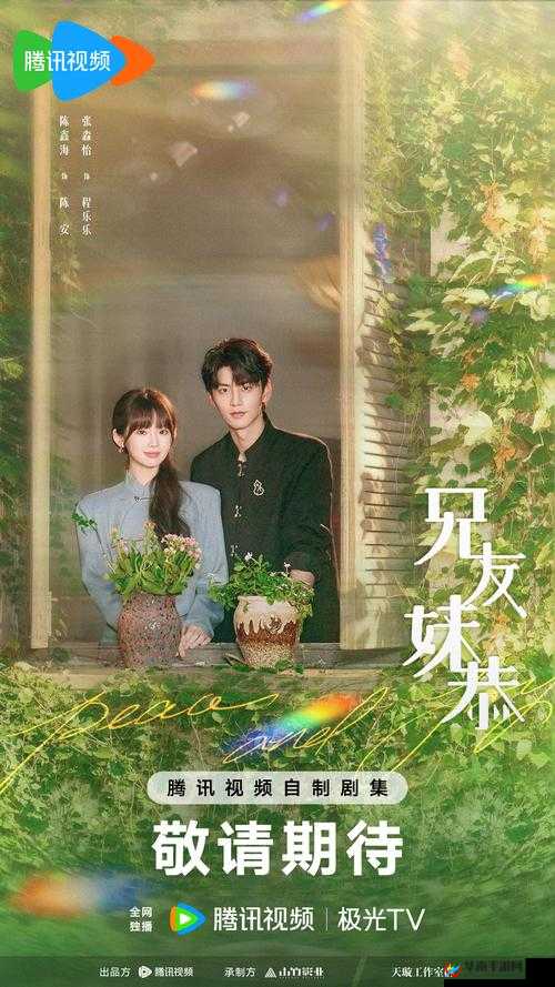 福建兄妹 aaaa 究竟有着怎样不为人知的故事？探秘其背后的秘密