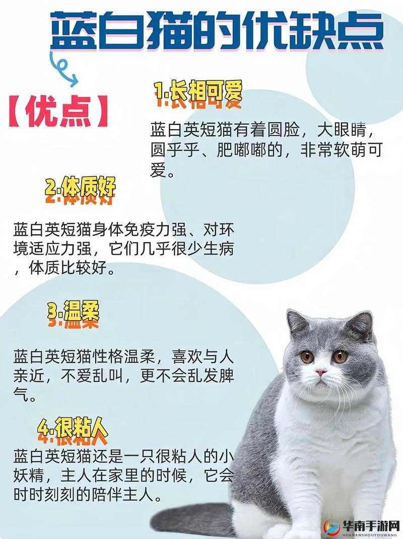 如何看待 tom 汤姆人口网最新版本更新内容？