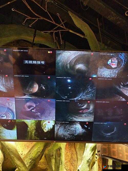 震惊哥伦布洞窟系列究竟有何独特魅力？快来一探究竟