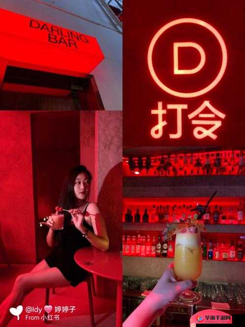 澳门打令 1 服务体验如何？真实评价在这里