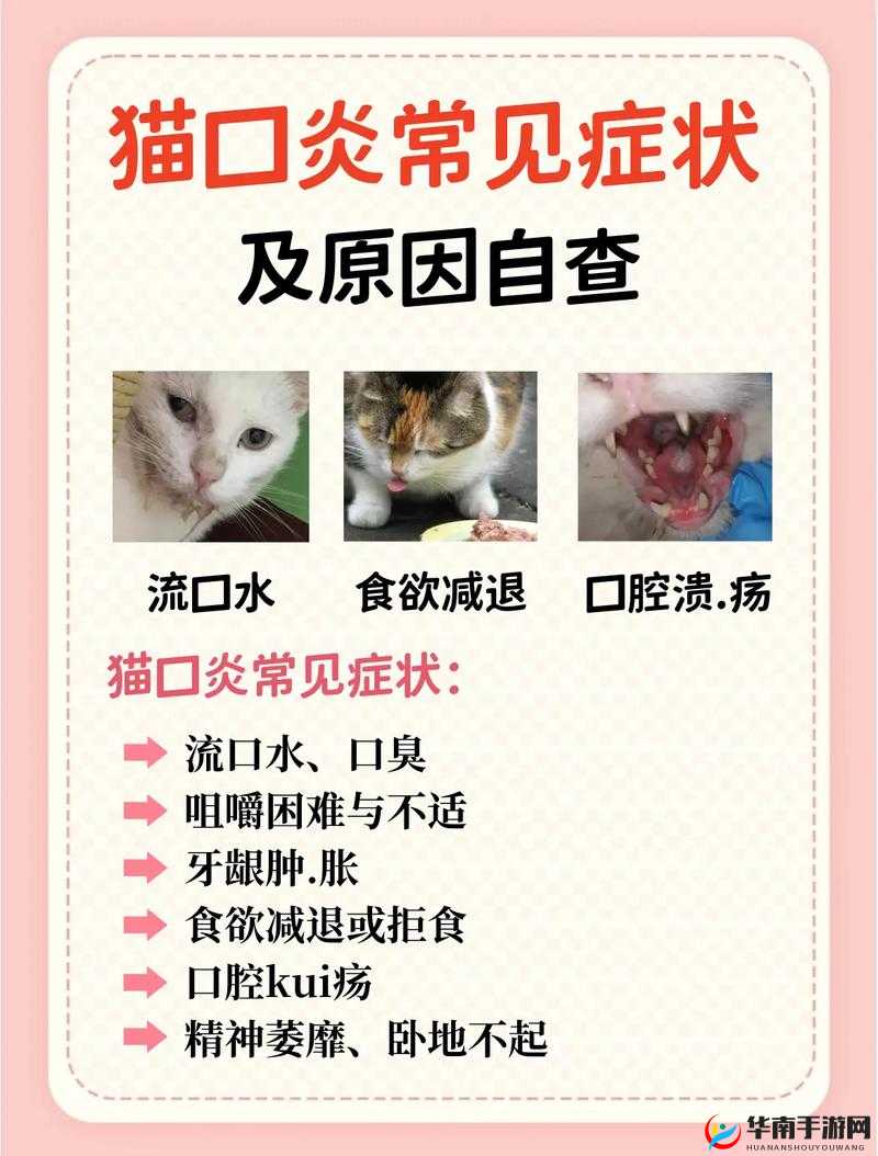 猫咪流鼻涕口水到底是什么情况？一文详解原因及应对方法