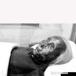 中国老太太 HID 是什么？为何引发广泛关注？探秘其背后的故事与意义