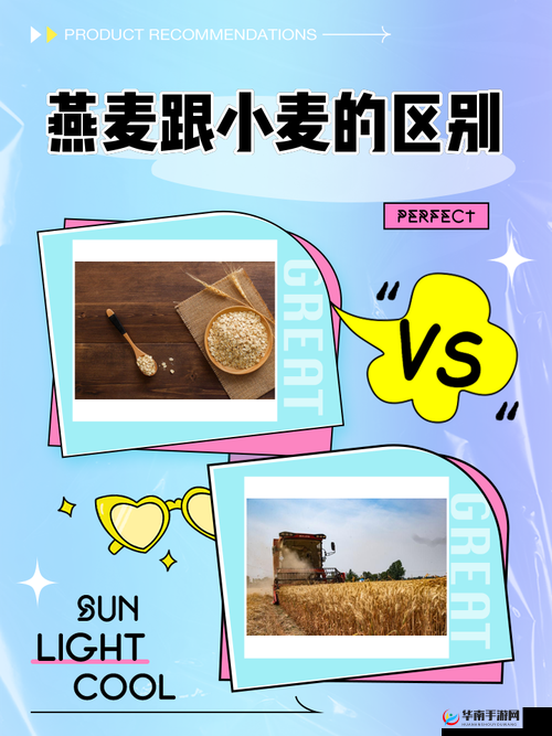 麦子交换 3 到底是什么？为何它如此引人关注？快来一探究竟