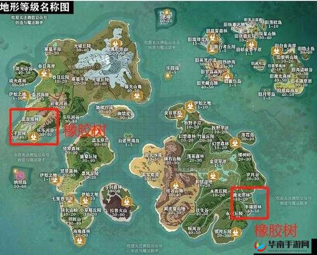 创造与魔法橡胶树分布探索